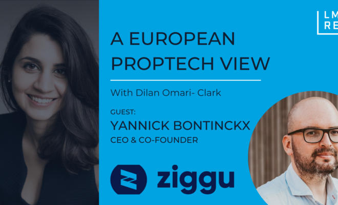 Yannick Bontinckx, Ziggu